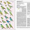 Manual de las Aves del Mundo - Volumen 15 página de muestra