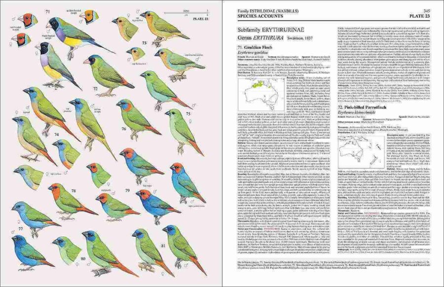 Handbook of the Birds of the World - Volum 15 pàgina de mostra