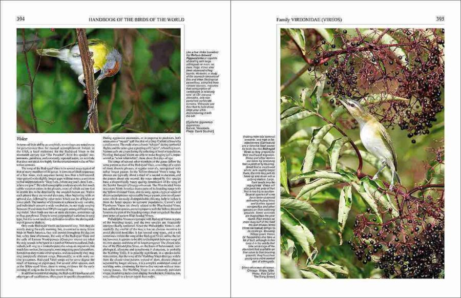 Handbook of the Birds of the World - Volum 15 pàgina de mostra