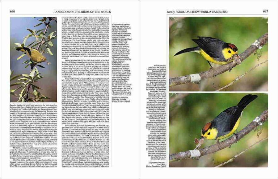 Manual de las Aves del Mundo - Volumen 15 página de muestra