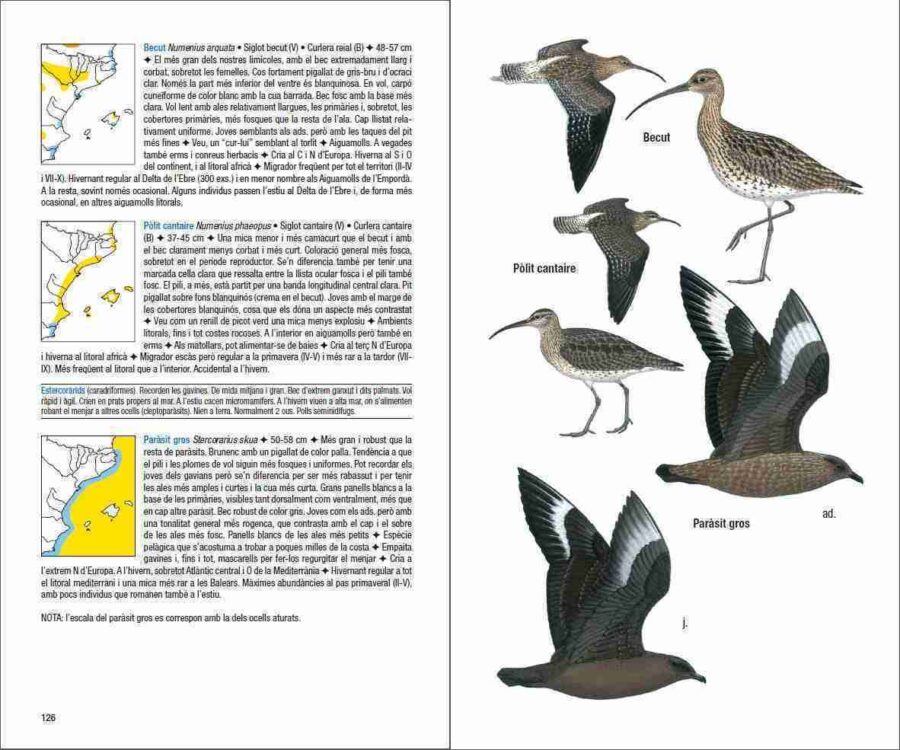 Ocells de Catalunya, País Valencià i Balears sample page