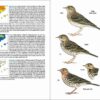 Ocells de Catalunya, País Valencià i Balears sample page