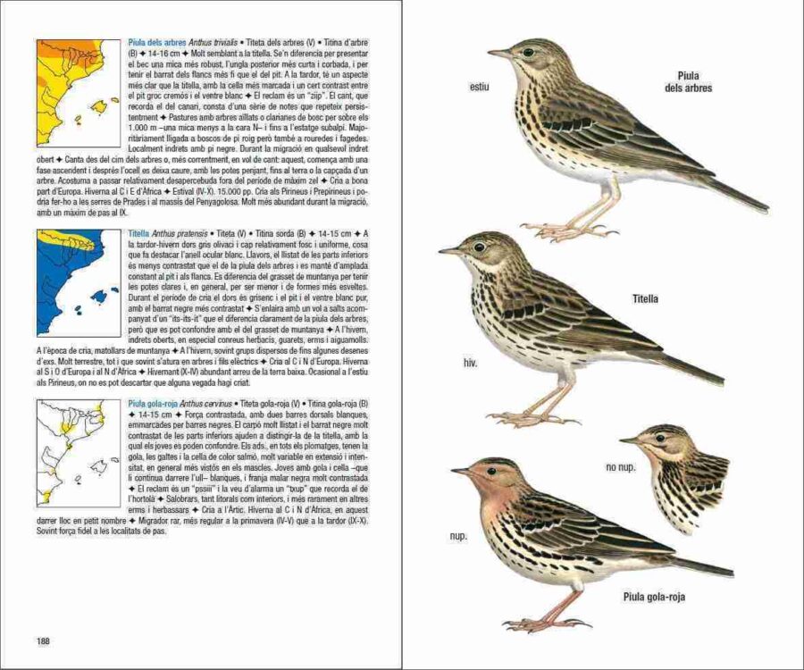 Ocells de Catalunya, País Valencià i Balears sample page