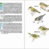 Aves de Portugal sample page