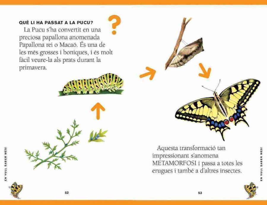 La Pucu no vol ser eruga mostra de pàgina