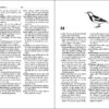 The Ornithologist's Dictionary sample page
