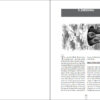 The Black Woodpecker - 图片 5