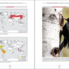 The Black Woodpecker - 图片 3