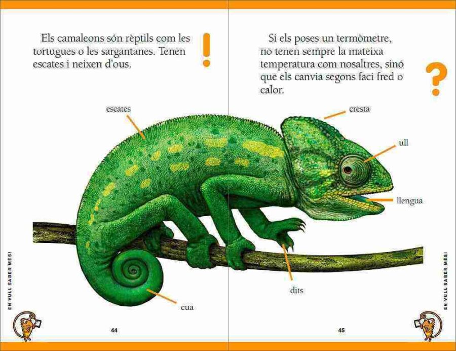 El camaleó enfadat sample page