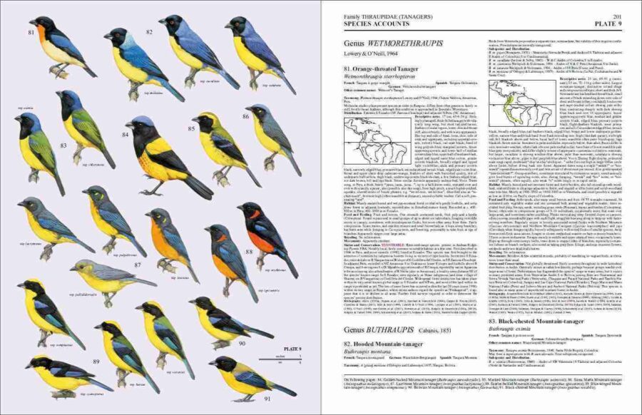 Handbook of the Birds of the World - Volume 16 sample page