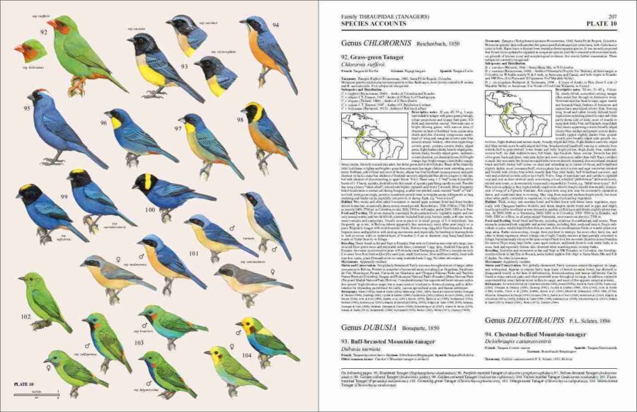 Handbook of the Birds of the World - Volum 16 pàgina de mostra