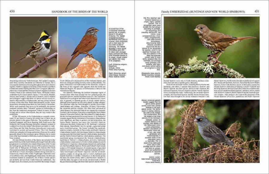 Manual de las Aves del Mundo - Volumen 16 página de muestra