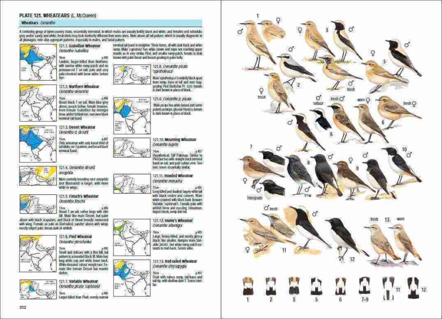 Birds of South Asia sample page