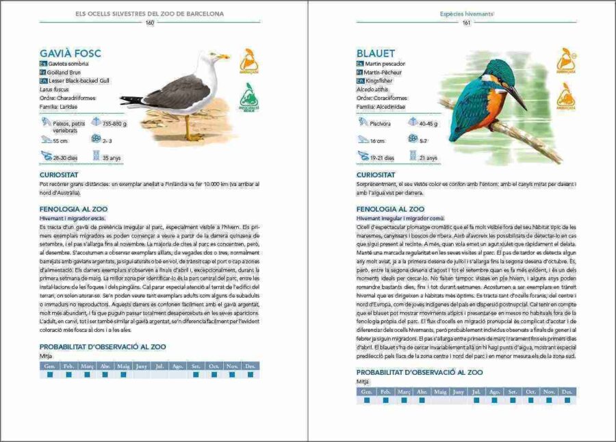 Pàgina de mostra Els ocells silvestres del Zoo de Barcelona