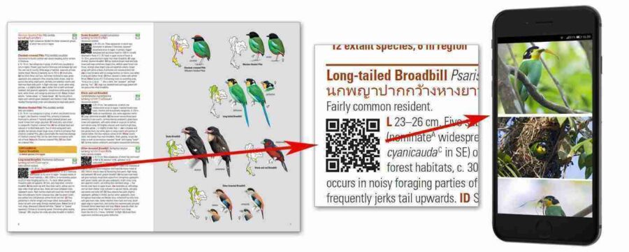 Birds of Thailand sample page