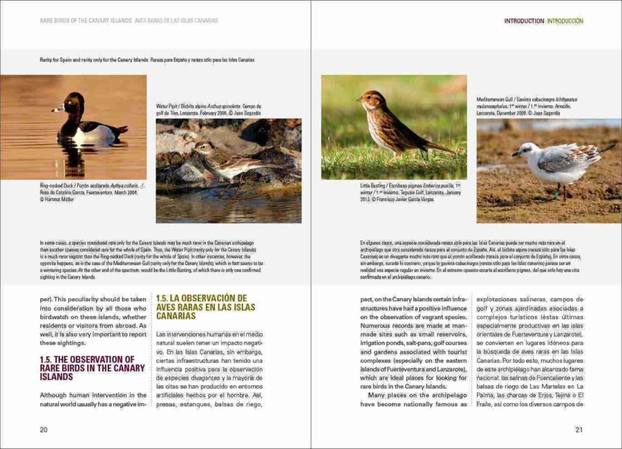 Rare Birds of the Canary Islands / Aves raras de las Islas Canarias sample page