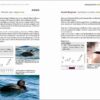 Rare Birds of the Canary Islands / Aves raras de las Islas Canarias sample page