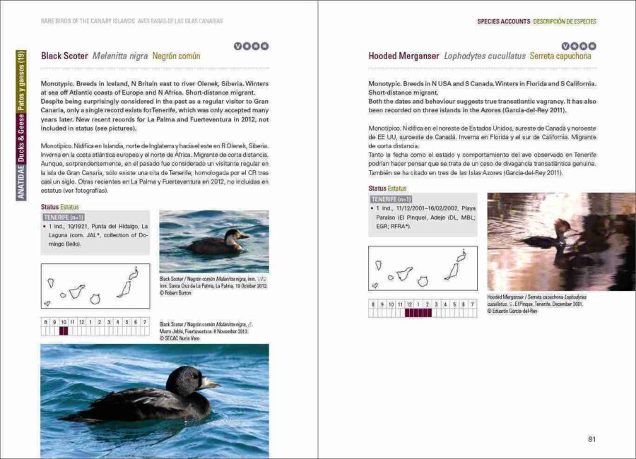 Rare Birds of the Canary Islands / Aves raras de las Islas Canarias pàgina de mostra