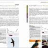 Rare Birds of the Canary Islands / Aves raras de las Islas Canarias sample page