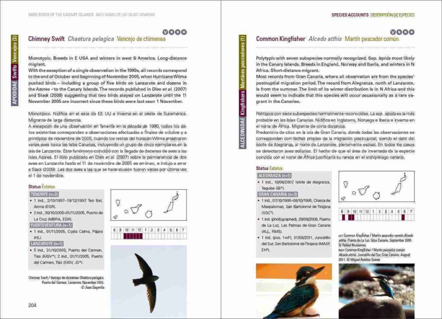 Rare Birds of the Canary Islands / Aves raras de las Islas Canarias sample page