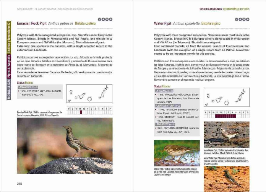 Rare Birds of the Canary Islands / Aves raras de las Islas Canarias sample page