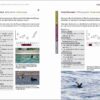Rare Birds of the Canary Islands / Aves raras de las Islas Canarias sample page