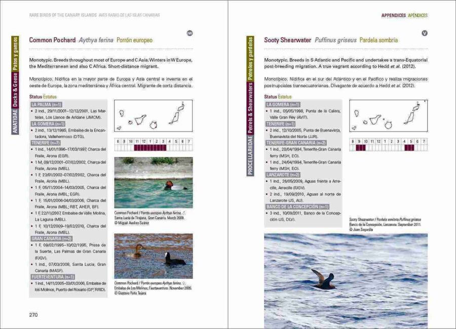 Rare Birds of the Canary Islands / Aves raras de las Islas Canarias pàgina de mostra