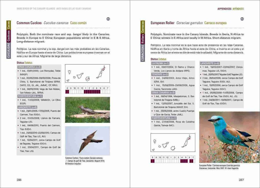 Aves raras de las Islas Canarias / Aves raras de las Islas Canarias sample page