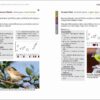 Rare Birds of the Canary Islands / Aves raras de las Islas Canarias sample page