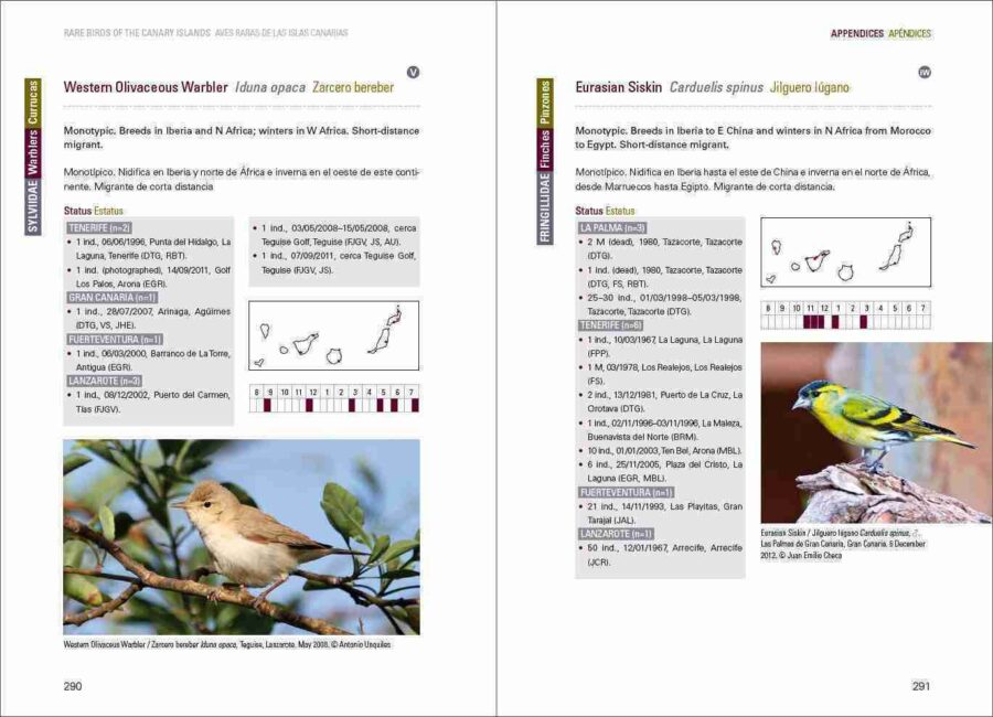 Aves raras de las Islas Canarias / Aves raras de las Islas Canarias sample page