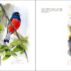 La forma del viento / Shaped by the wind - 图片 4